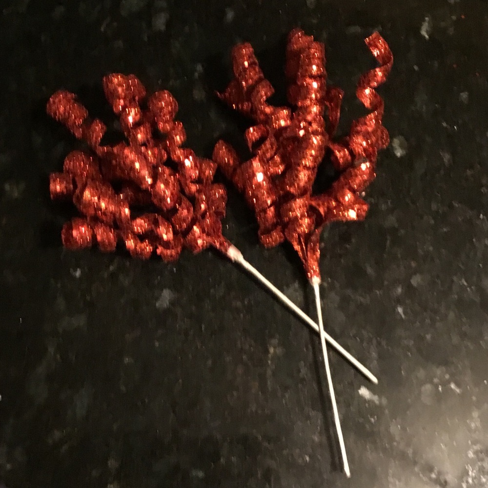 Festive Holiday Red and White Picks - Picture 4 of 5